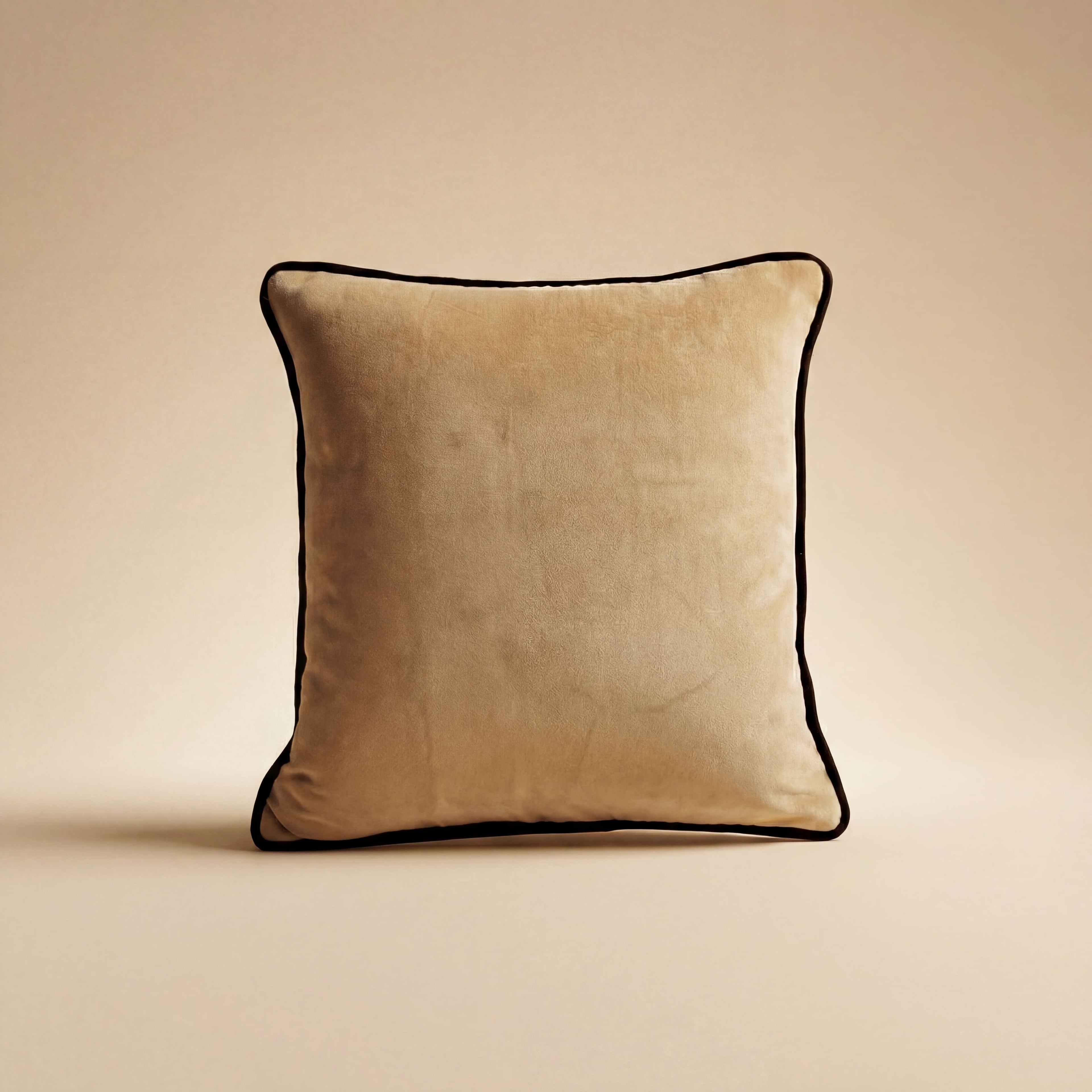 Back to Basics Cushion Cover